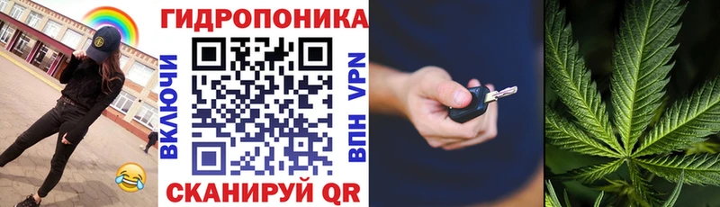 наркотики  мега   Шишки марихуана конопля  Переславль-Залесский 